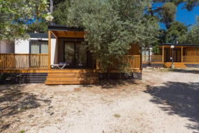 Diana & Josip Mobile Homes